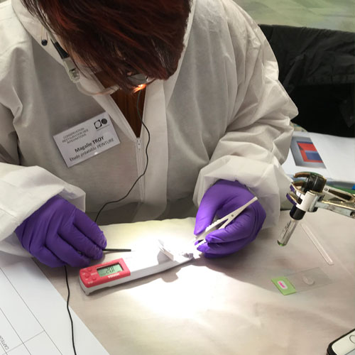 Restauration tableaux réparer nettoyer Vannes Morbihan France