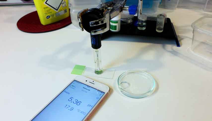 Restauration tableaux réparer nettoyer Vannes Morbihan France