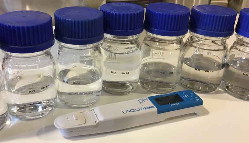 Restauration tableaux réparer nettoyer Vannes Morbihan France