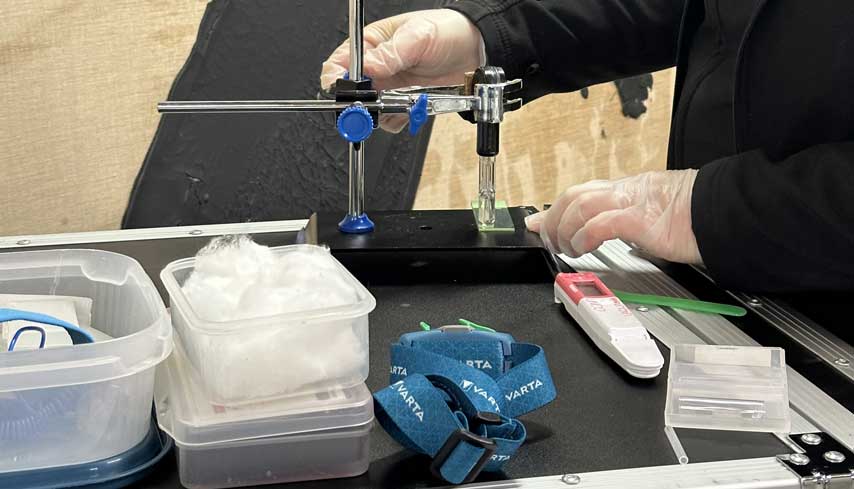 Restauration tableaux réparer nettoyer Vannes Morbihan France